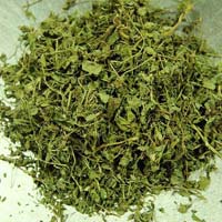 Dried Fenugreek